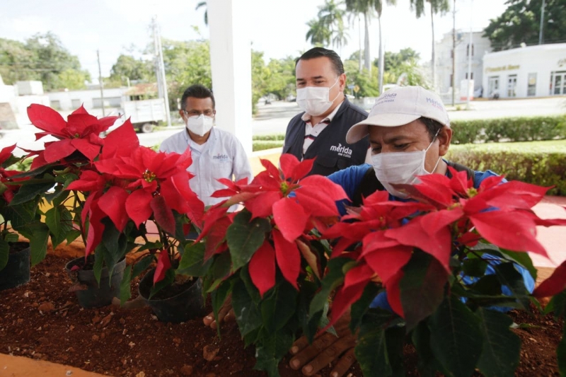 Embellecen glorietas y parques de Mérida con decoración navideña