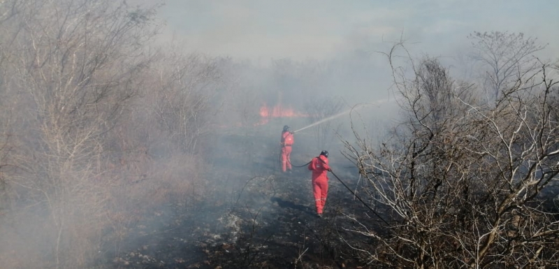 Combate a incendios, una tarea coordinada