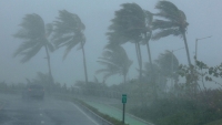 Balance positivo tras fin de temporada de huracanes: Procivy