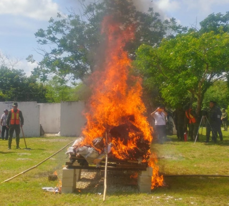 Destruyen drogas incautadas en Yucatán