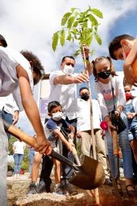 Ayuntamiento de Mérida inicia jornada “Adopta un Árbol”