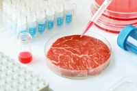 Carne cultivada in vitro, opción alimentaria a futuro