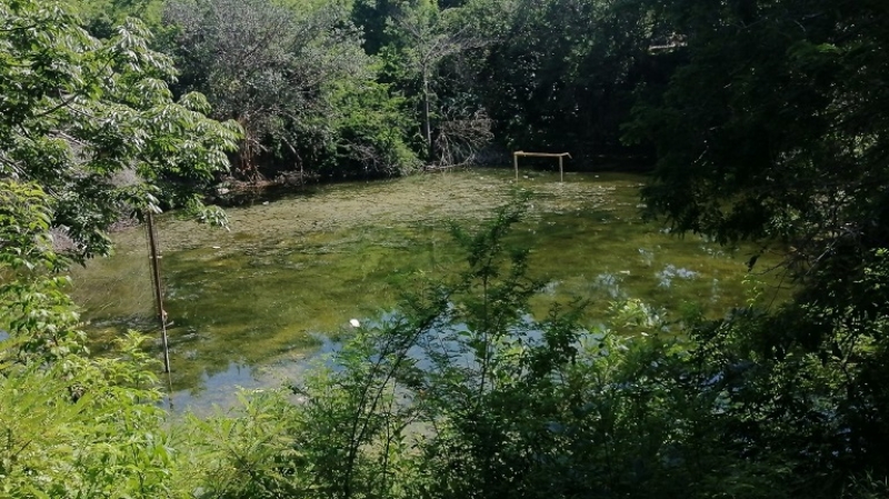 Vecinos piden atender parque inundado hace más de un año