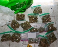 Decomisó FGR más de un kilo de marihuana en Fraccionamiento del Parque