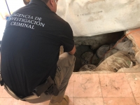 Hallan cuerpo en predio asegurado por "huachicol"