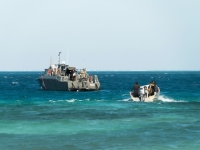 Frenan pesca ilegal de caracol rosado en Arrecife Alacranes