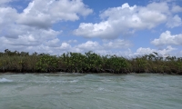Pugnan por desarrollo sustentable de la Península de Yucatán