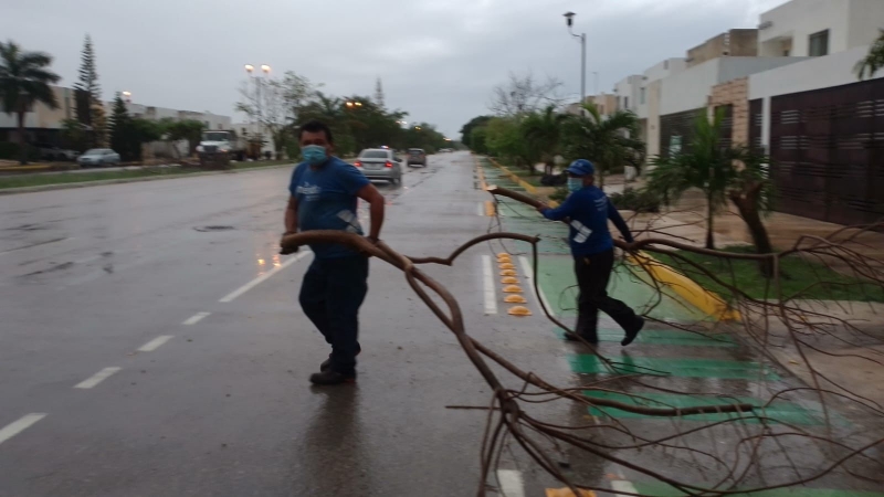 Reportan afectaciones tras intensa lluvia en Mérida