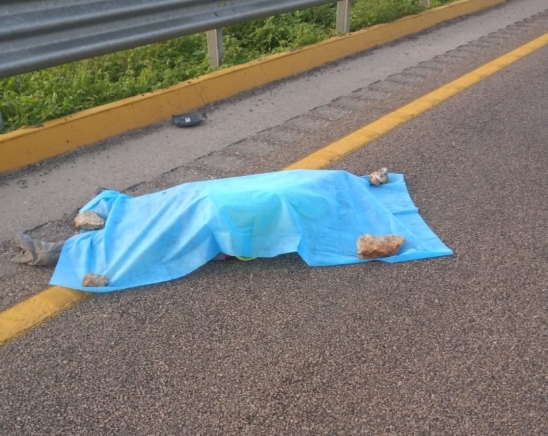 Muere atropellado en carretera federal