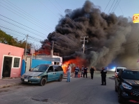 Arde herrer&iacute;a en la Boj&oacute;rquez