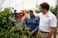 Presenta Sahuí propuesta en materia agropecuaria