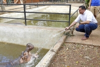 El Centenario estrenará hospital veterinario este año