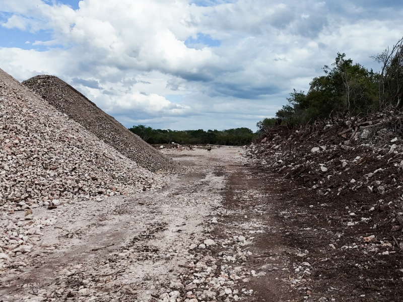 Profepa clausura obras en granja de Hoctún