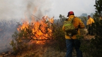 Se adelantará temporada de incendios