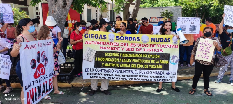 Protesta dominical contra maltrato animal; piden justicia para 'Hachi" y "Xolito"