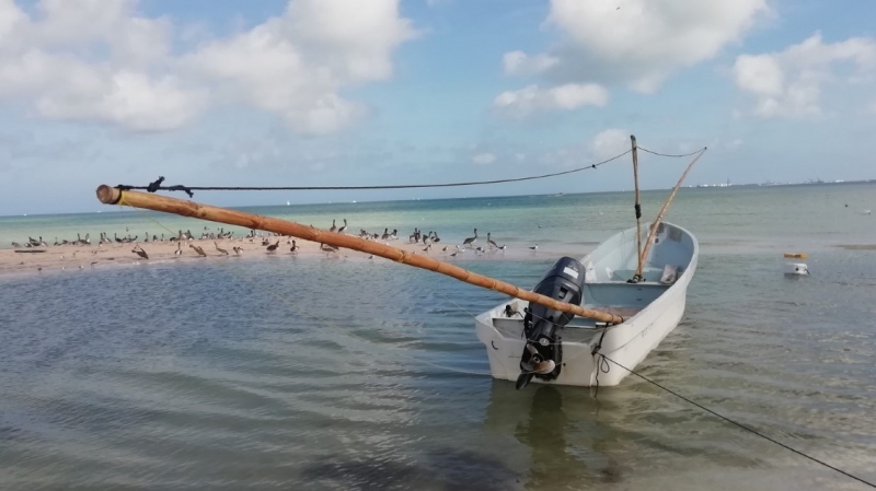 Cae captura de langosta en Yucatán