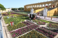 Familias yucatecas disfrutan del Paseo Navideño de las Flores