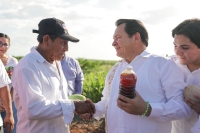 Renacimiento maya beneficia al campo yucateco