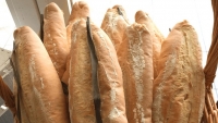 Prevé Canacope incremento al pan francés