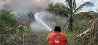 Procivy mantiene intensa actividad contra incendios