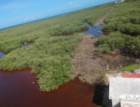 Continúa ecocidio en reserva de la biosfera Ría Lagartos