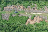 Descubren cerros de excremento clandestino de granja bovina