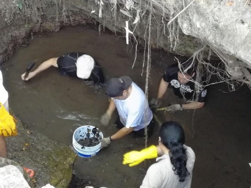 Colonos de Cholul rescatan cenote