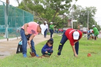 Continúa la arborización de Mérida