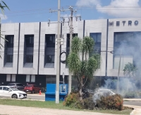 Enjambre ataca a jardinero
