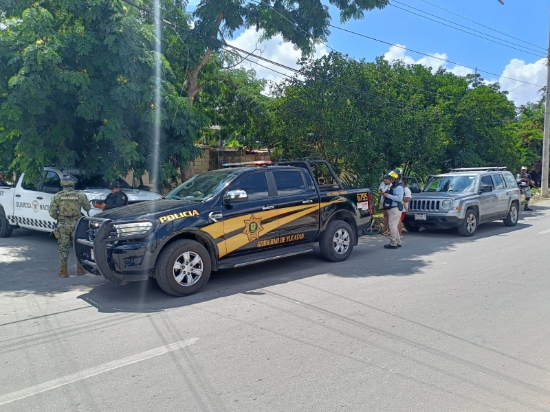 Decomisan estupefacientes en Kanasín