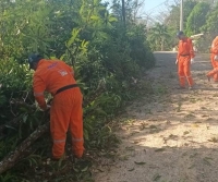 Reportan percances menores tras frente frío 39