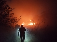 Incendio moviliza a bomberos al oriente de Mérida
