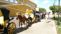 Alcalde de Izamal defiende uso de caballos en calesas