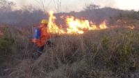 Procivy llama a sociedad a contribuir en prevención de incendios