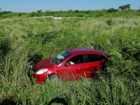 Auto compacto termina entre la maleza