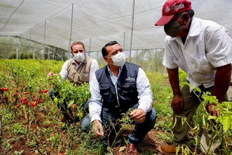 Renán Barrera entrega apoyos en comisarías de Texán Cámara y Tzacalá