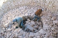 La cal tiene más usos de los habituales