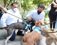 Vila y Renán anuncian apertura de hospital veterinario público