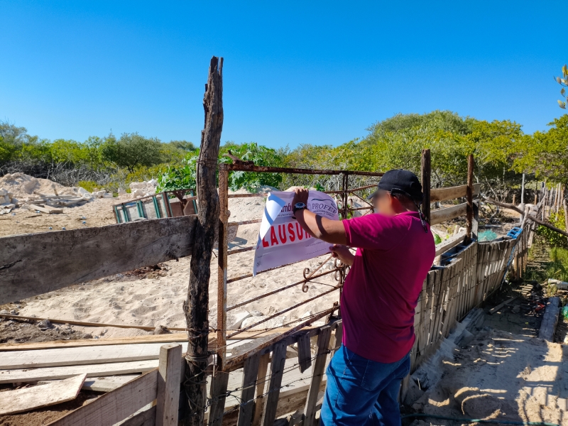 Profepa clausura otro predio deforestado en manglar de Chelem