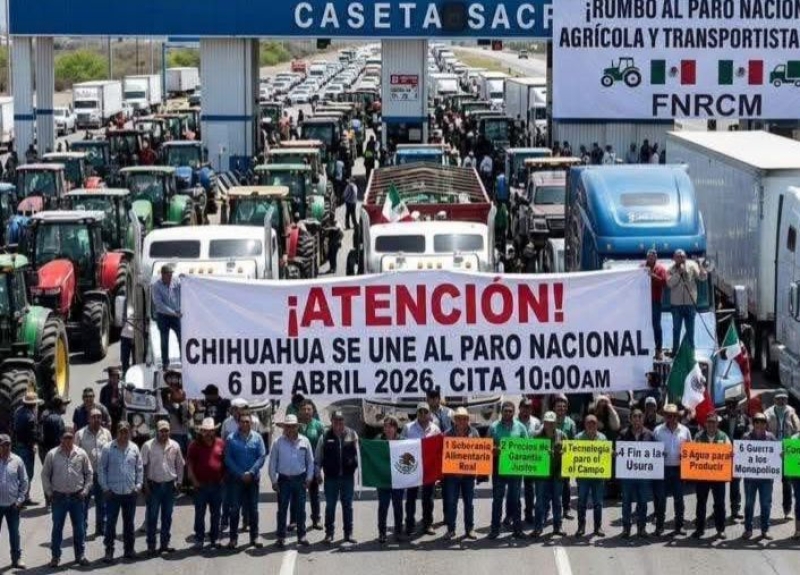 HAMOTAC no participará en paro transportista