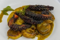 Presentan cuarta edición del Festival del Pulpo, en Río Lagartos