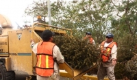 Recolección de basura no se suspenderá este 1 de mayo