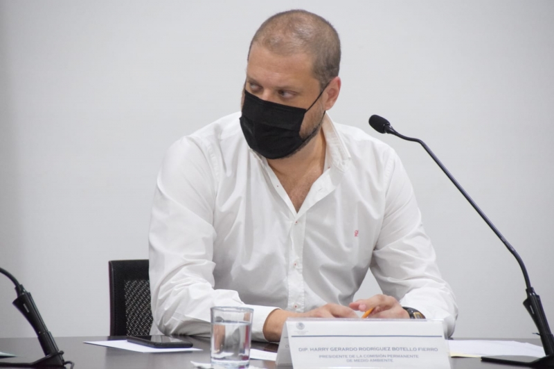 Fortalecerá PVEM leyes para protección de cenotes: Harry Rodríguez