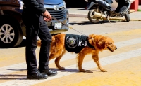 Muere agente canina