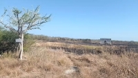Bajo control incendio de Celestún