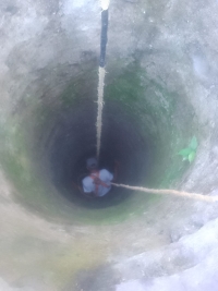 Rescatan a perro del interior de un pozo