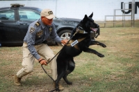 Binomios caninos se integran para detectar explosivos
