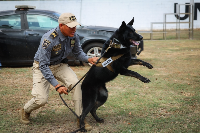 Binomios caninos se integran para detectar explosivos