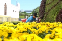 Cambia de sede “Camino de Flores”