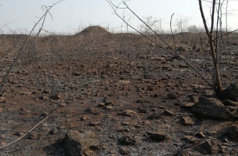 Incendio afecta gran parte de la zona arqueológica de Oxkintok